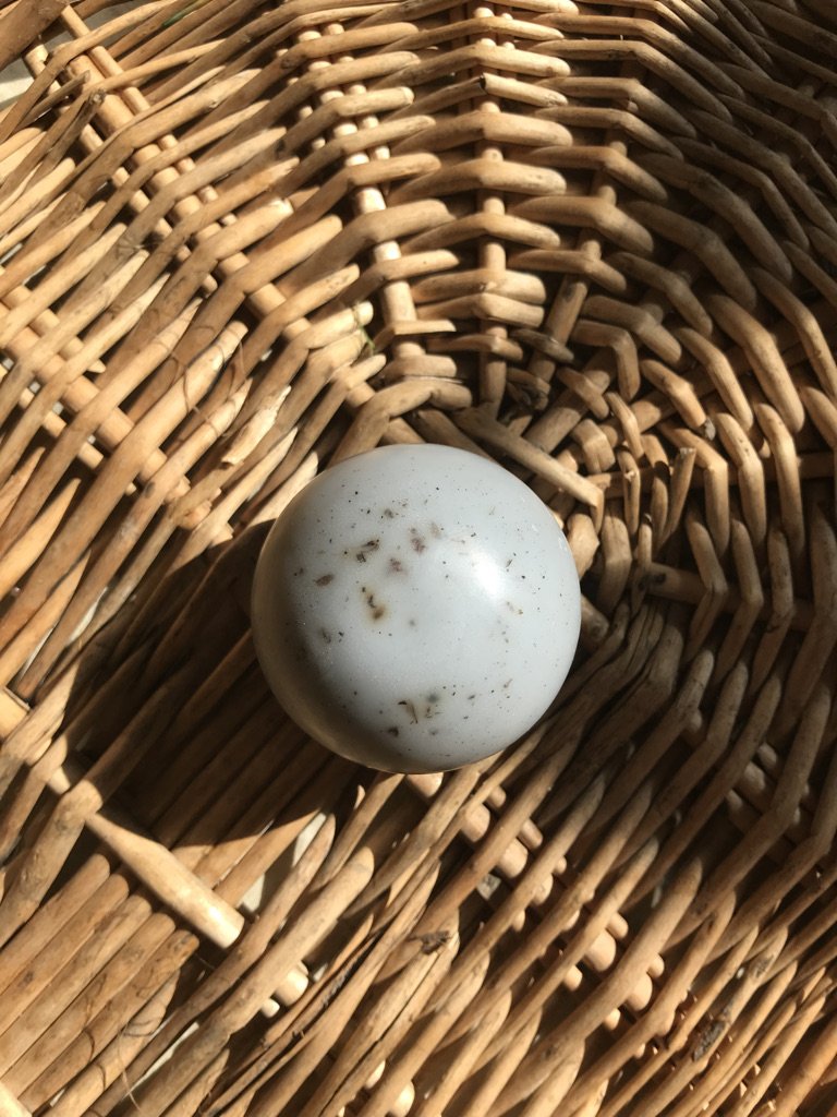 Lavender - Organic Shea Butter Soap