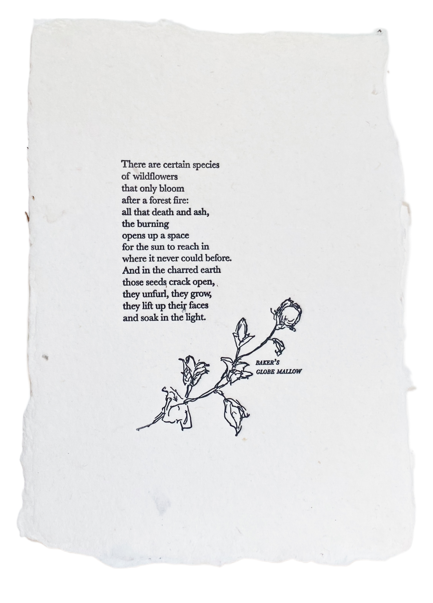 Wildflower/Wildfire Poem Print