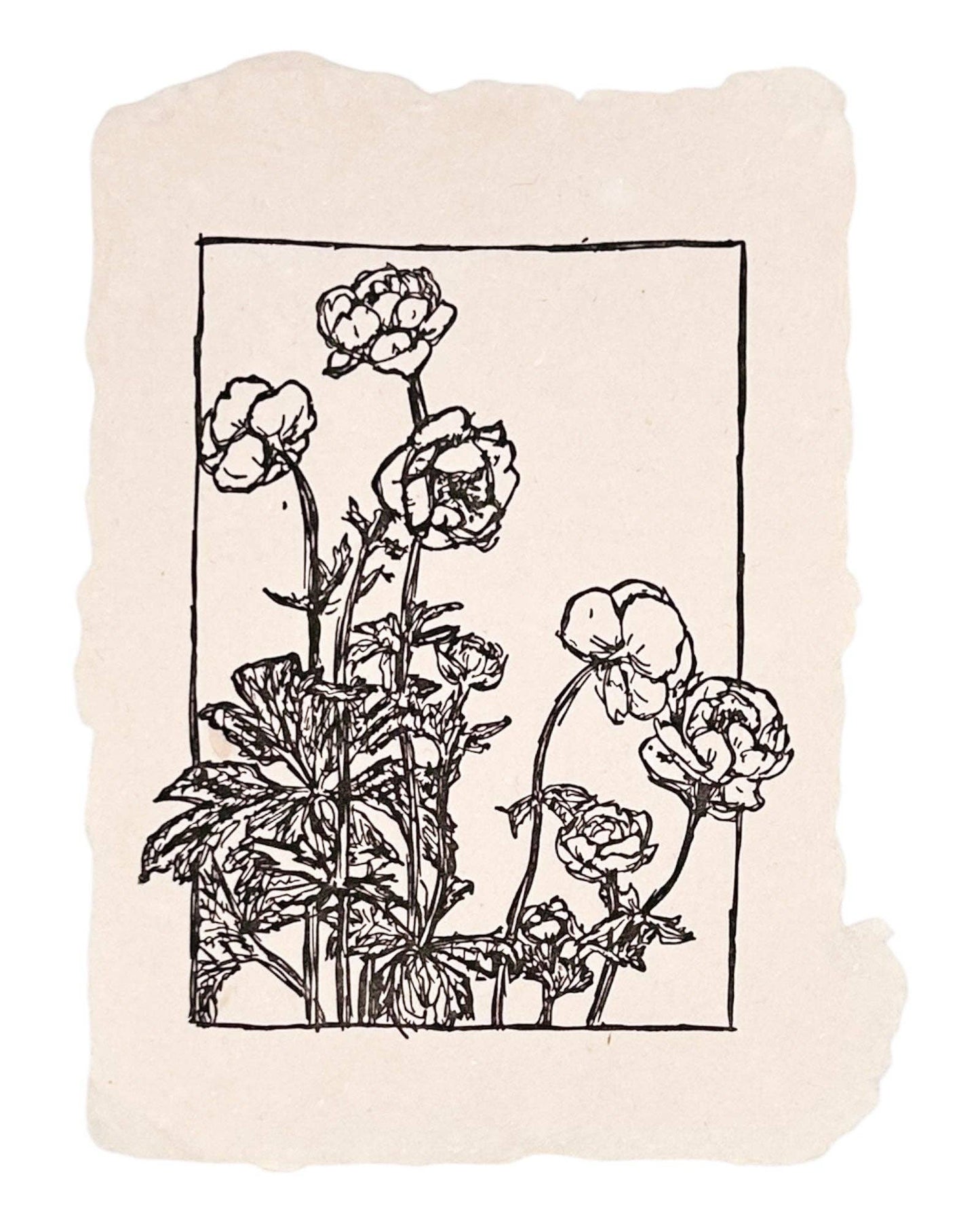 Handmade Art Print - Ranunculus