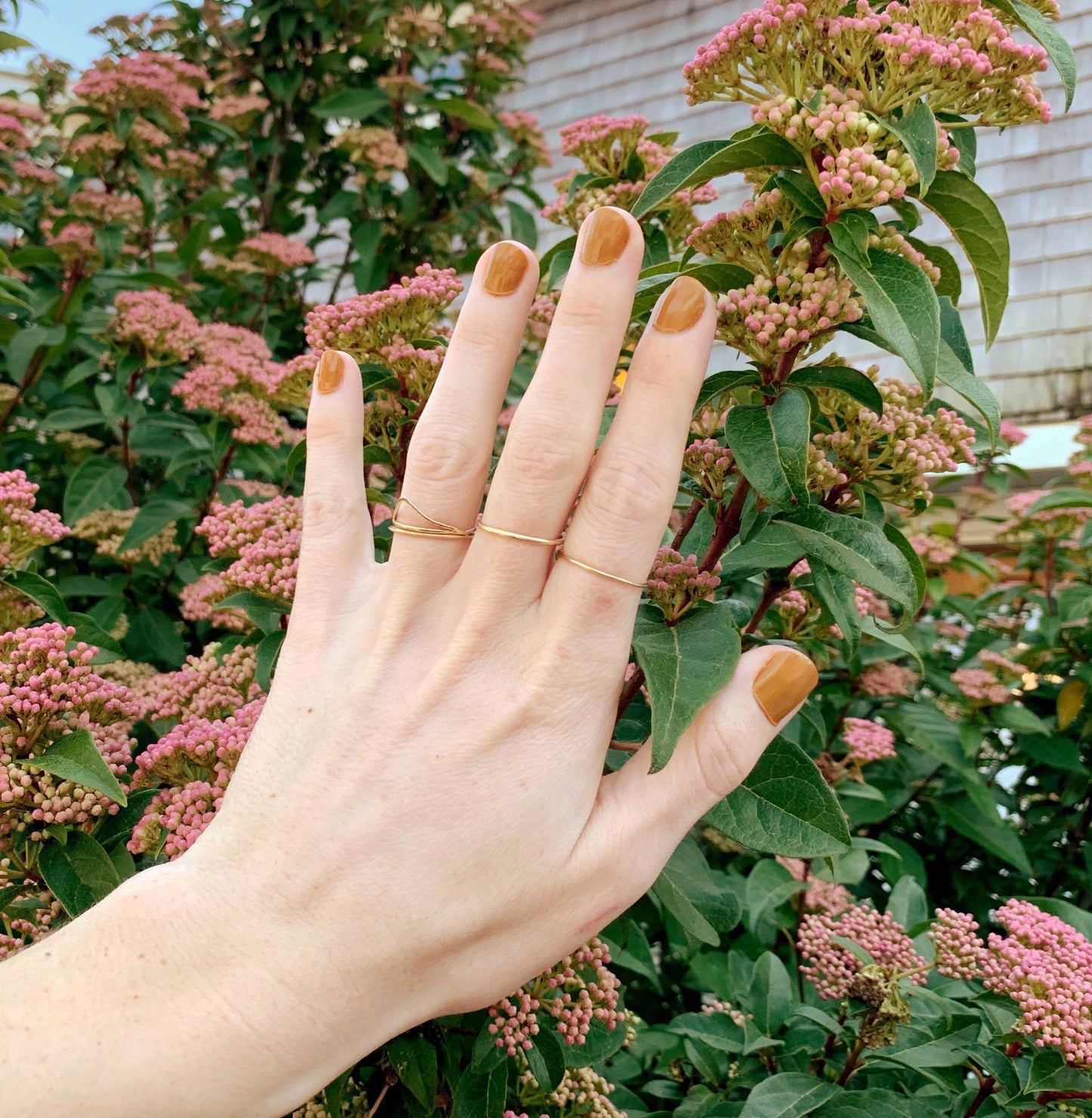 Palate Polish Nail Polish - 19+ Colors