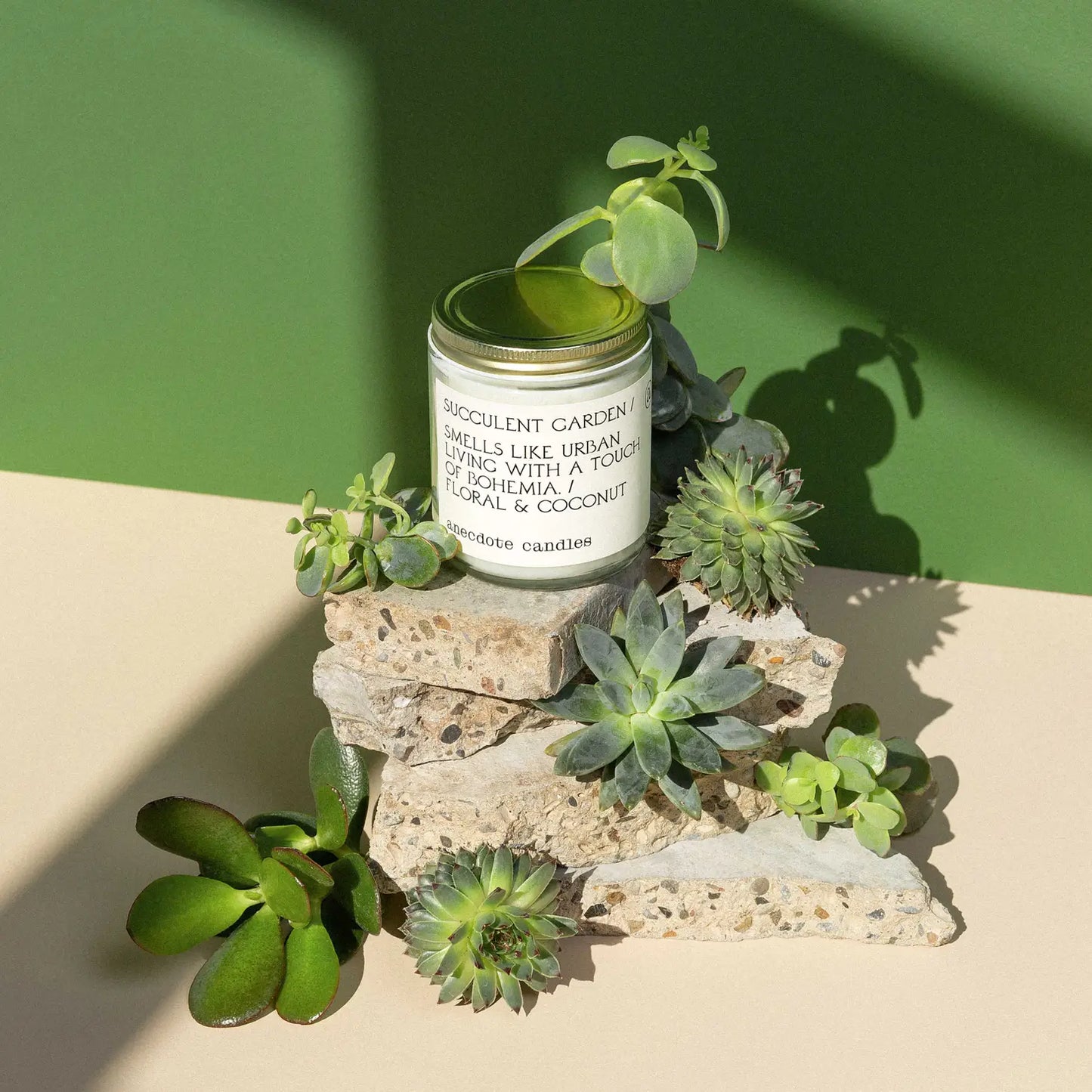 Succulent Garden Candle (Floral & Coconut)
