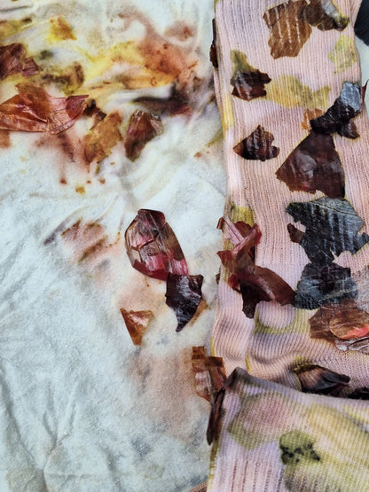 Oct. 20 | Botanical Dye Workshop