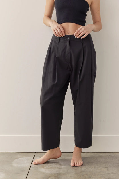 Pleated Tapered Trousers