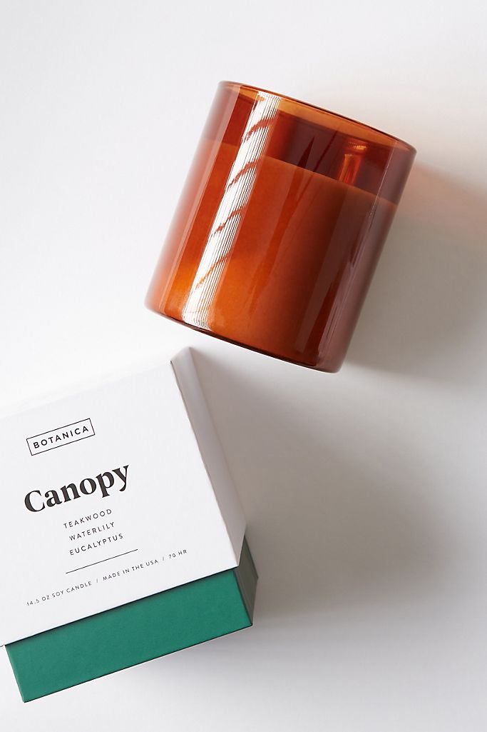 Canopy Large Candle | 14.5oz