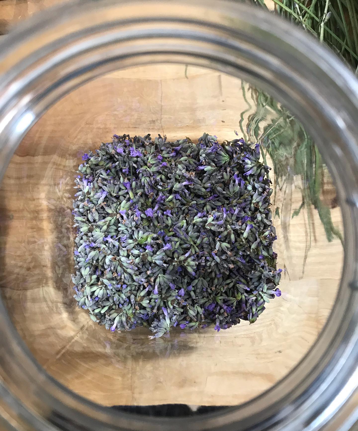 Lavender - Organic Shea Butter Soap