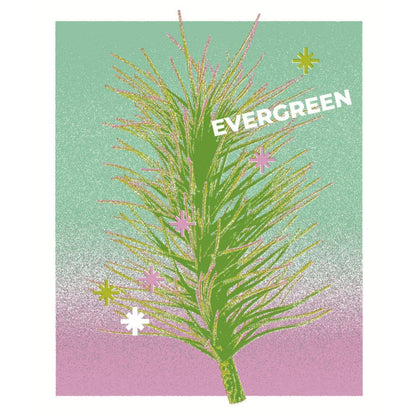 EVERGREEN Holiday Candle - Balsam Fir & Cedar