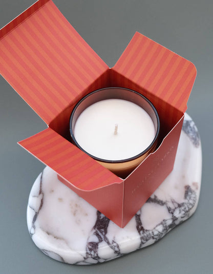 Harvest Pumpkin 12 oz. Candle