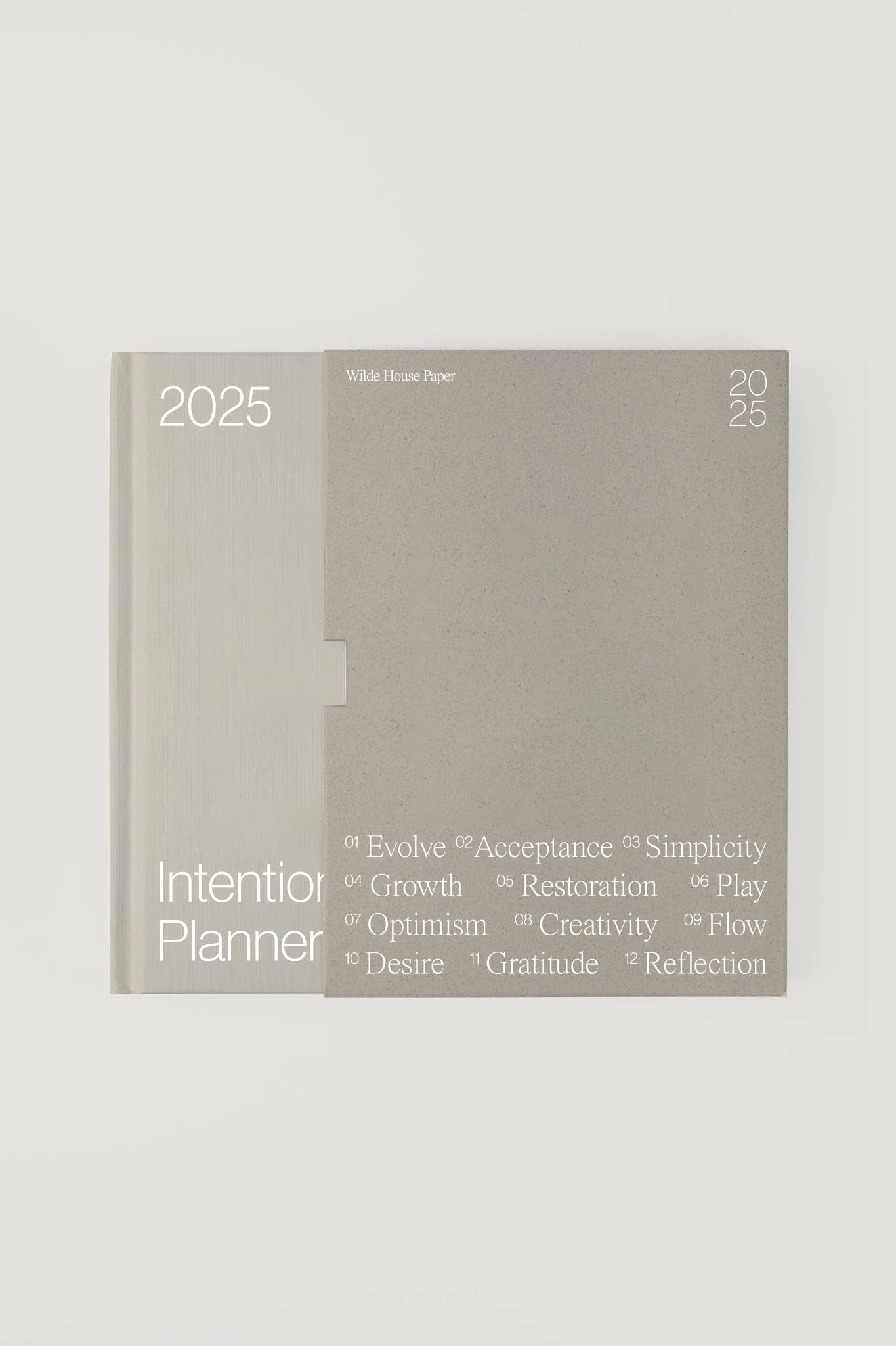 2025 Intentional Planner