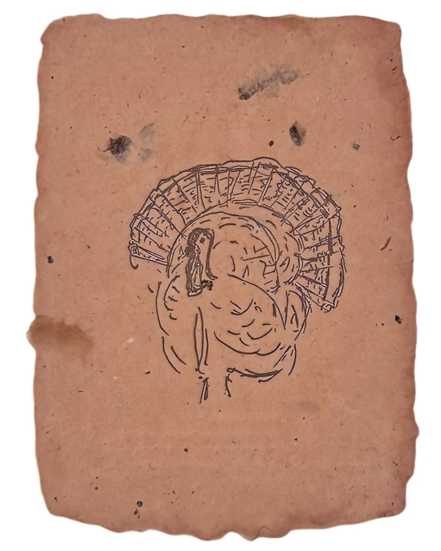 Turkey Note Card - Set of four