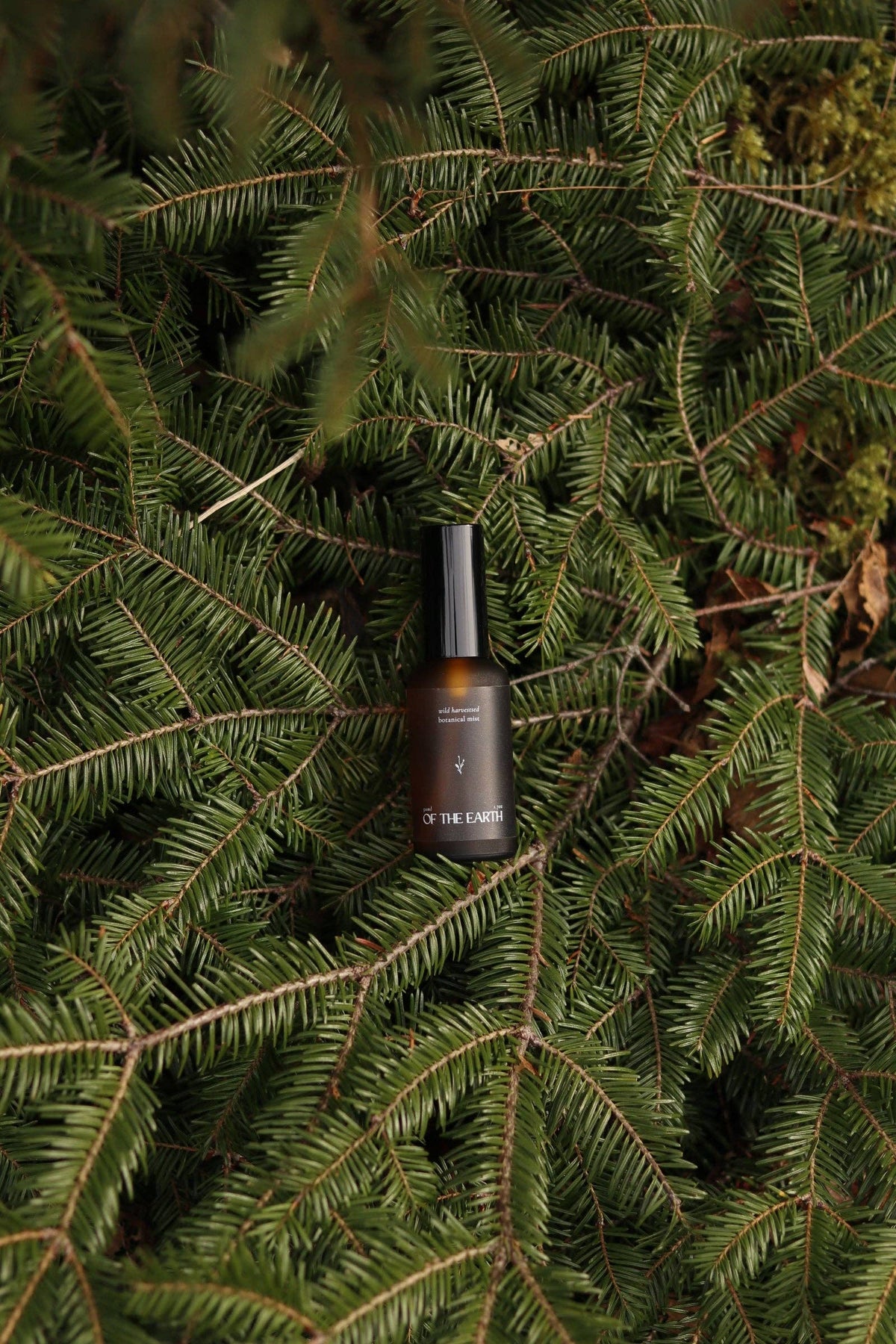 Room, Body & Linen Botanical Mist - Balsam Fir, Fern, & Moss