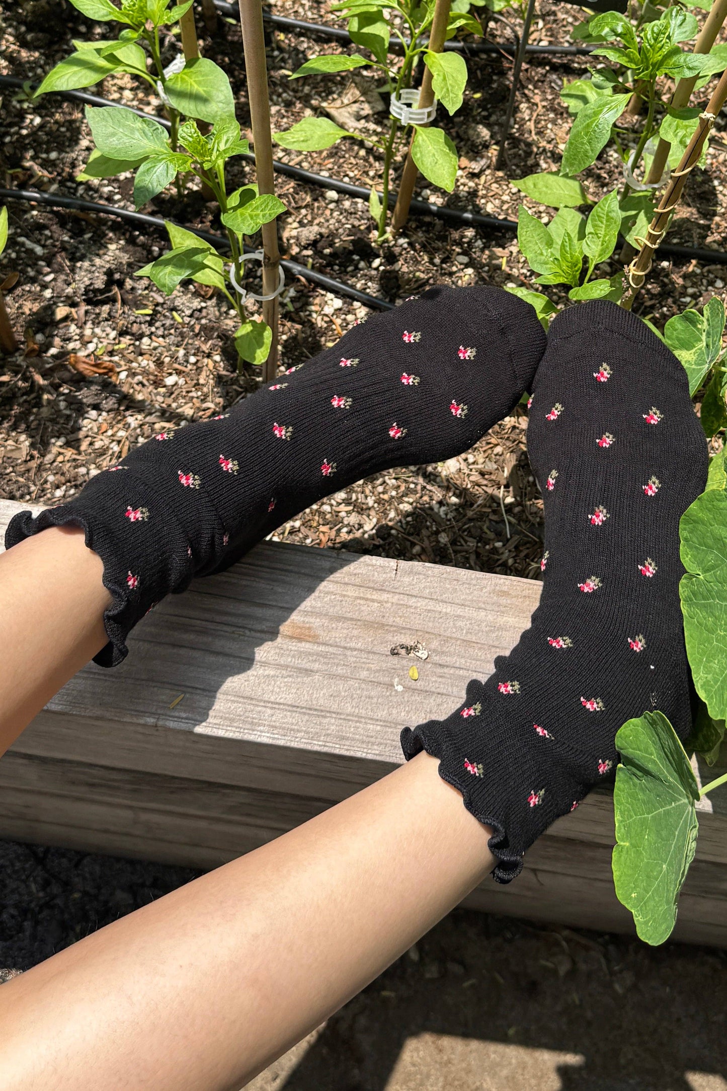Petal Ruffled Hugger Crew Socks - Multiple Colors