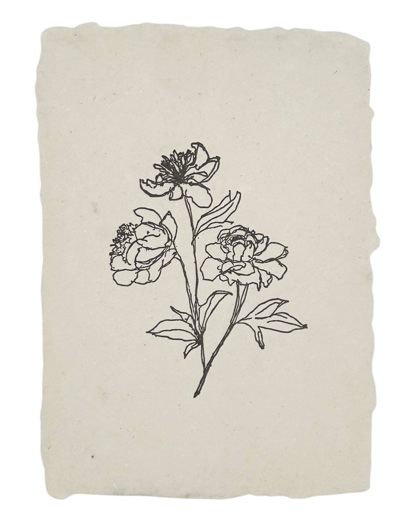Handmade Art Print - Peony Stems