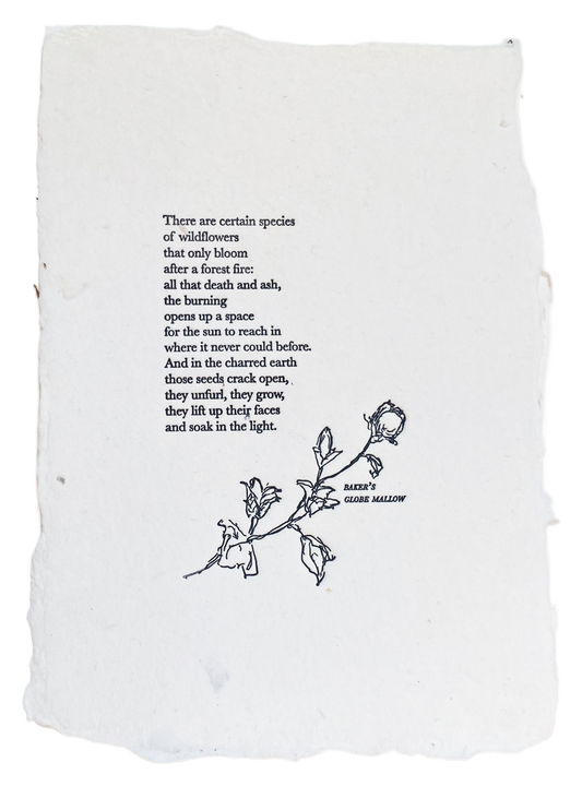 Wildflower/Wildfire Poem Print