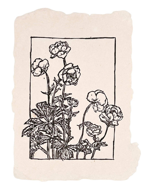 Handmade Art Print - Ranunculus