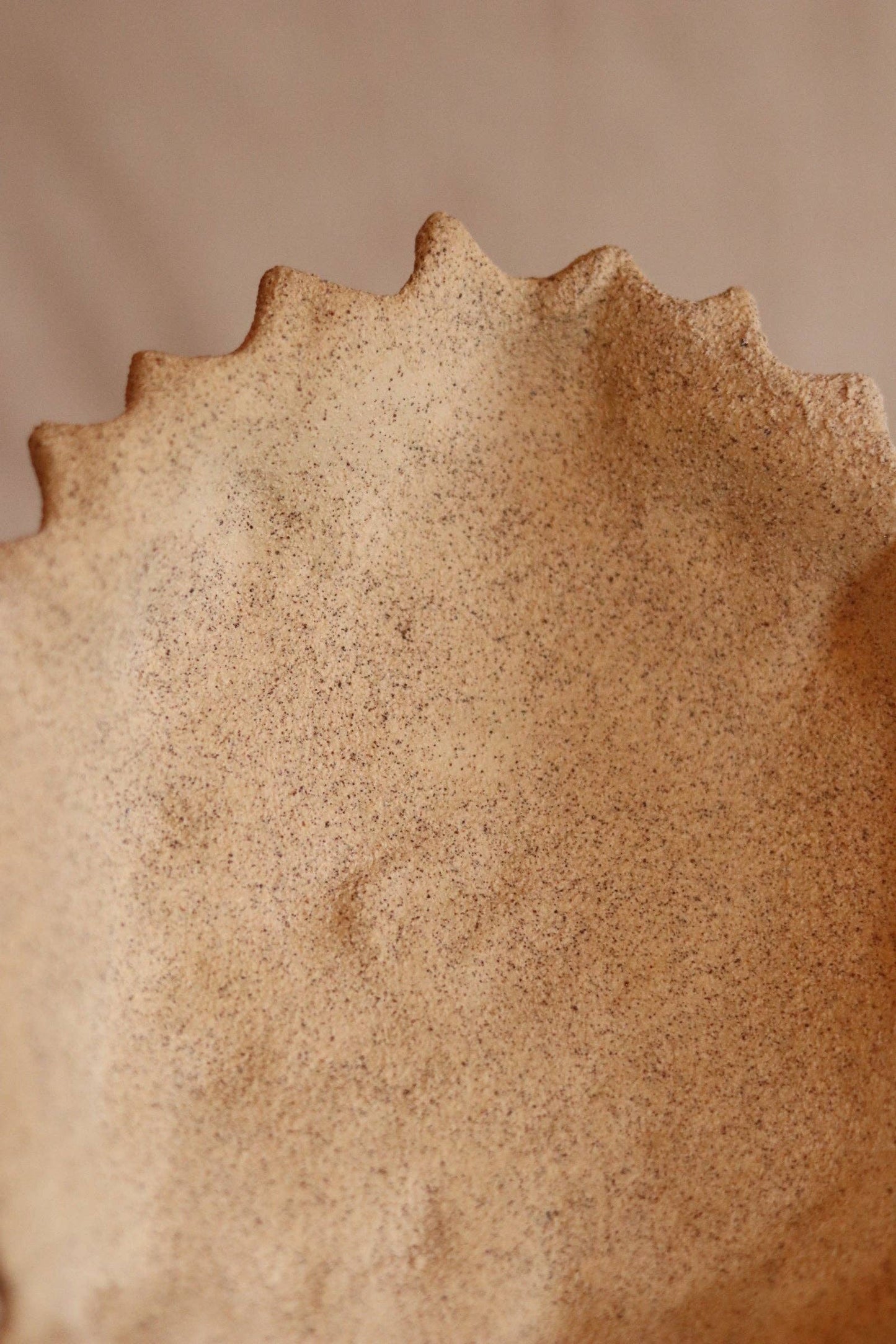 8.5" Gathered Earth Orgánica Bowl