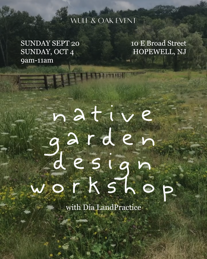 SEPT 20 & OCT 4 | Native Garden Design Workshop
