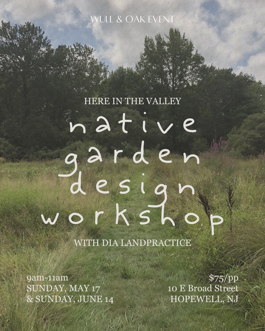 MAY 17 & JUN 14 | Native Garden Design Workshop