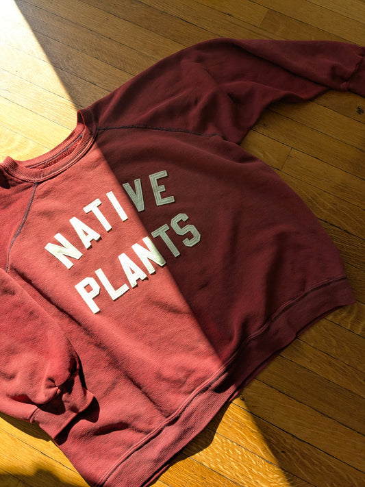 Kid Sister Vintage Sweatshirt - Native Plants