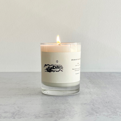 Land - Cedar, Sage, and Grass Soy Candle