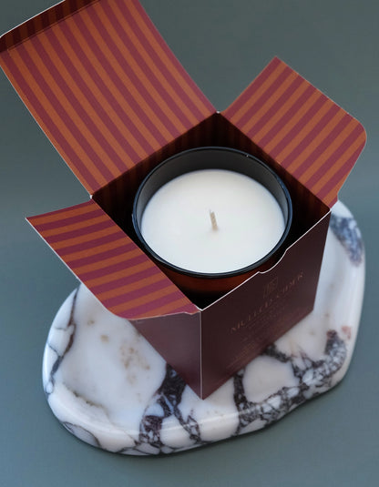 Mulled Cider 12 oz. Candle