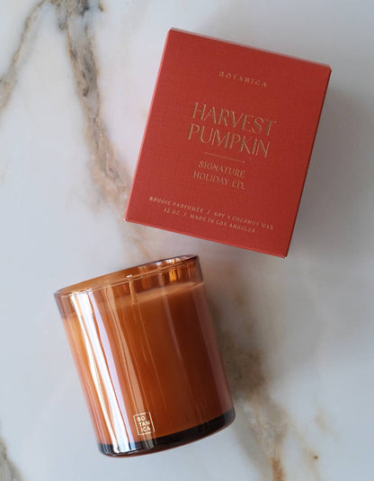 Harvest Pumpkin 12 oz. Candle